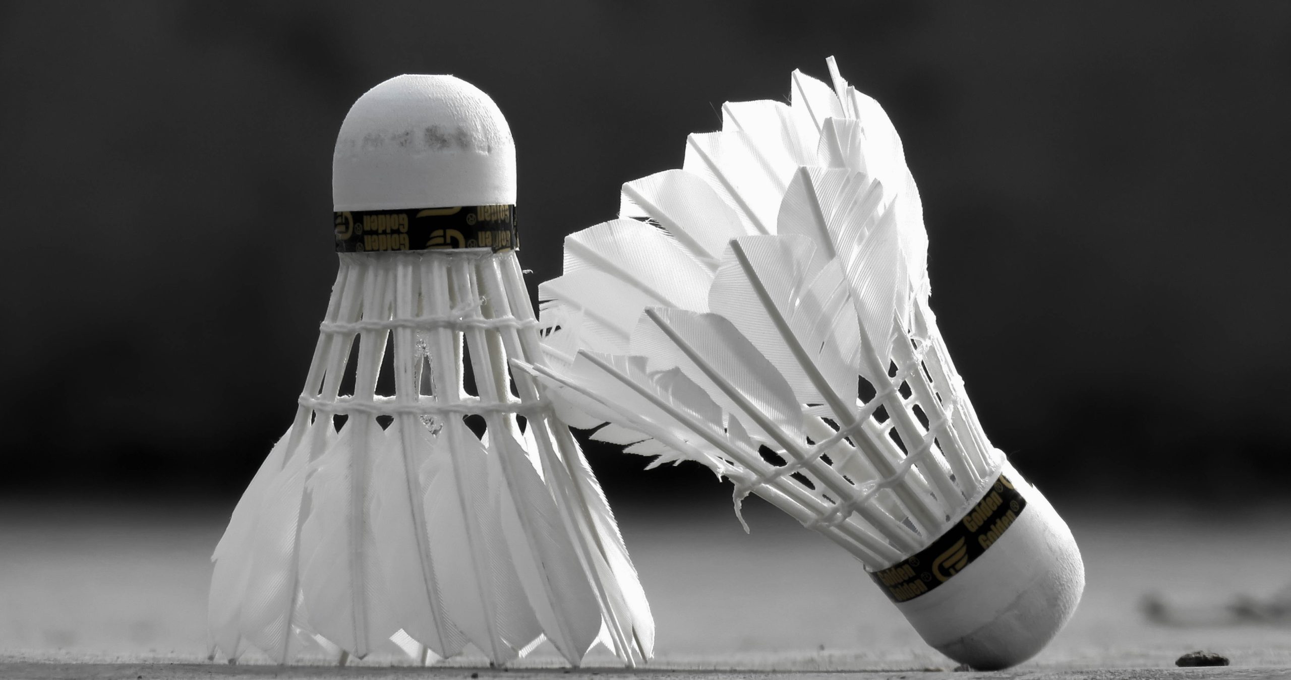 feathered shuttlecock