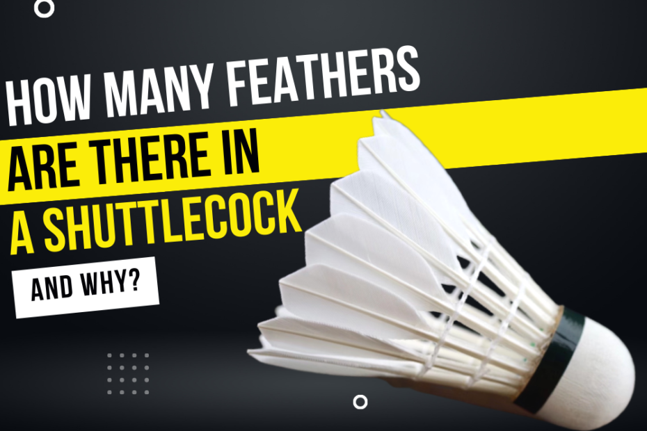 shuttlecock feathers